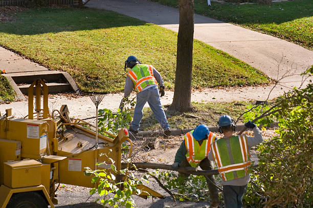 Best Lawn Pest Prevention  in Little River Academy, TX